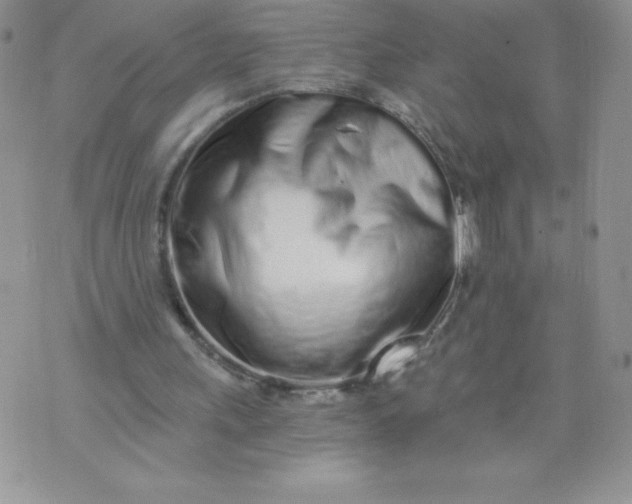 X0000071330243200607141912