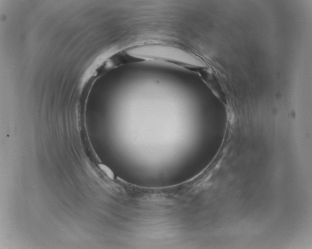 X0000071330244200607141912