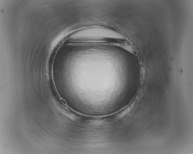 X0000071330246200607141912