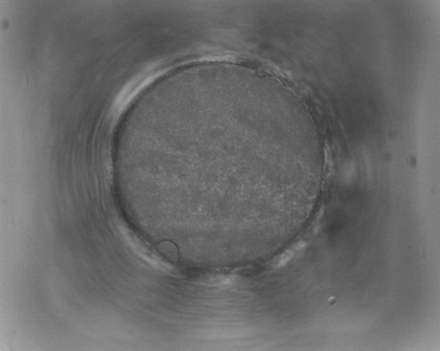 X0000071330247200607141912