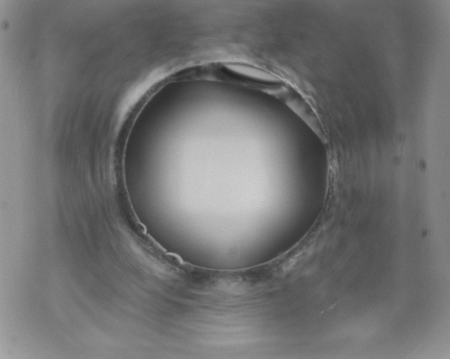 X0000071330248200607141912