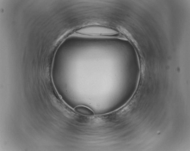 X0000071330249200607141912