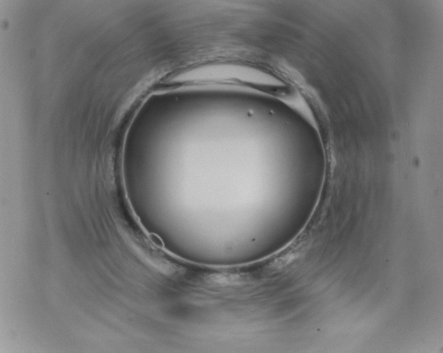 X0000071330250200607141912