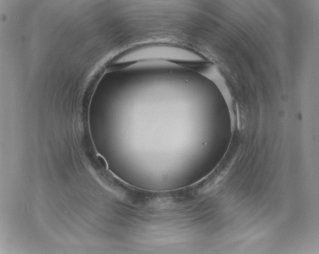 X0000071330252200607141913