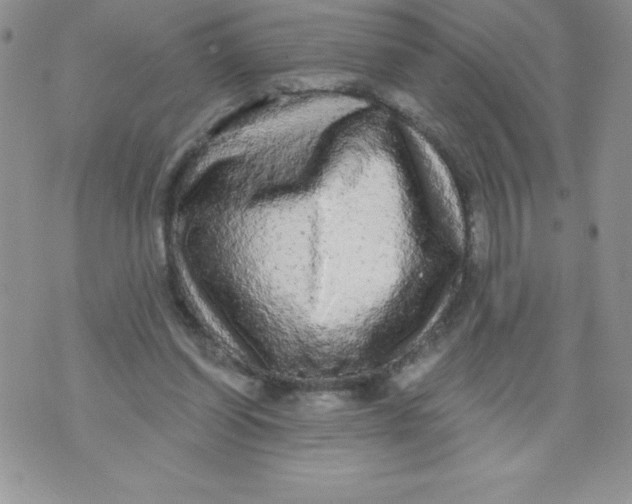 X0000071330254200607141913