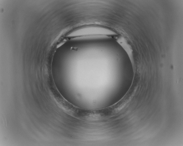 X0000071330256200607141913