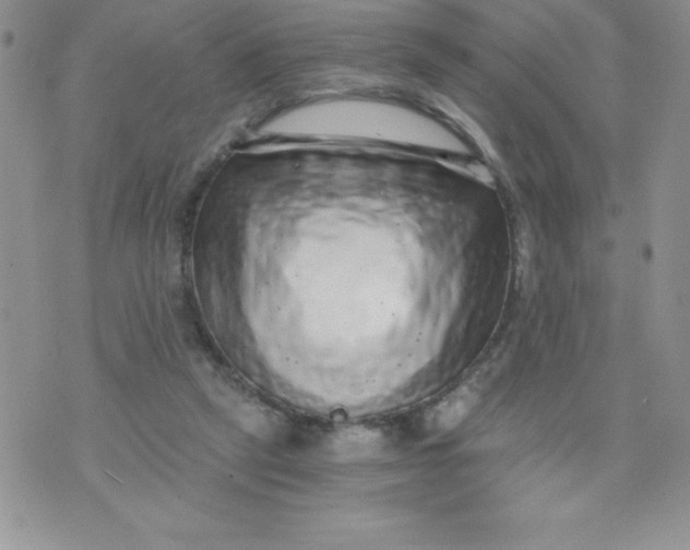 X0000071330257200607141913