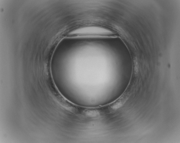 X0000071330258200607141913