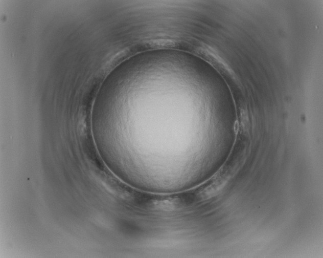 X0000071330259200607141913