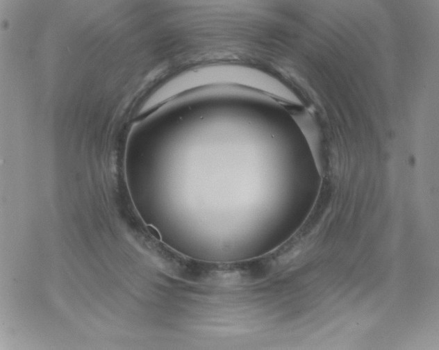 X0000071330260200607141913