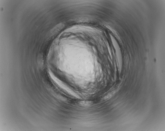 X0000071330261200607141913