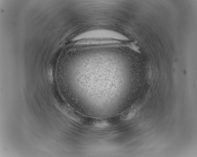 X0000071330262200607141913