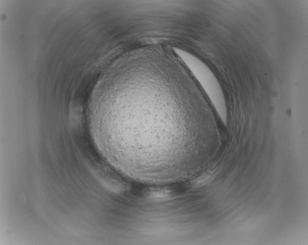 X0000071330263200607141913