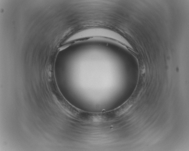 X0000071330264200607141913