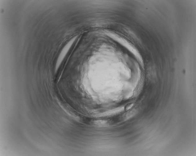 X0000071330265200607141913