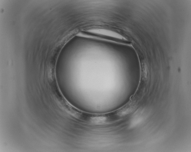 X0000071330266200607141913