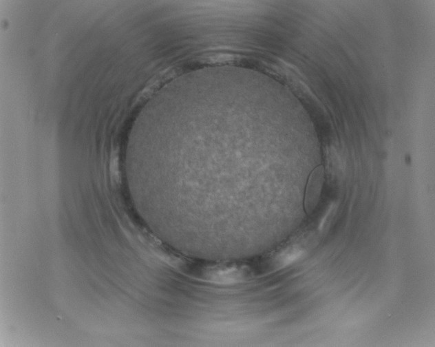 X0000071330267200607141913