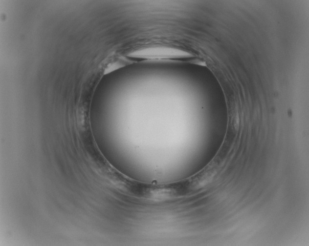 X0000071330268200607141913