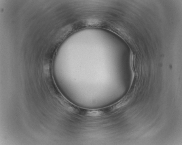 X0000071330269200607141913