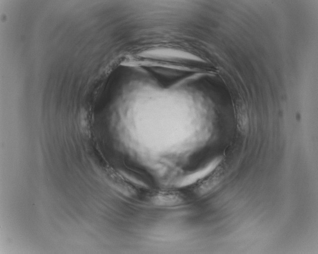 X0000071330270200607141913