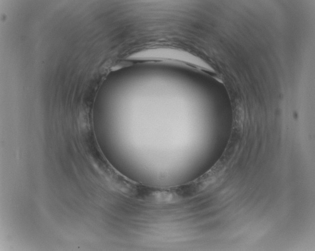 X0000071330272200607141913