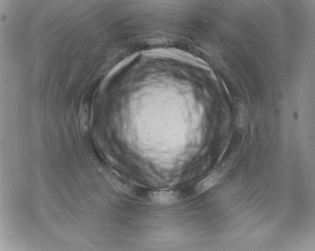 X0000071330273200607141913