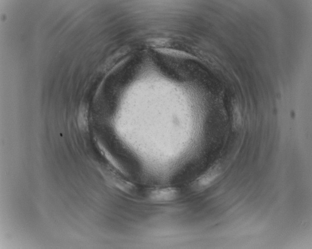 X0000071330274200607141913