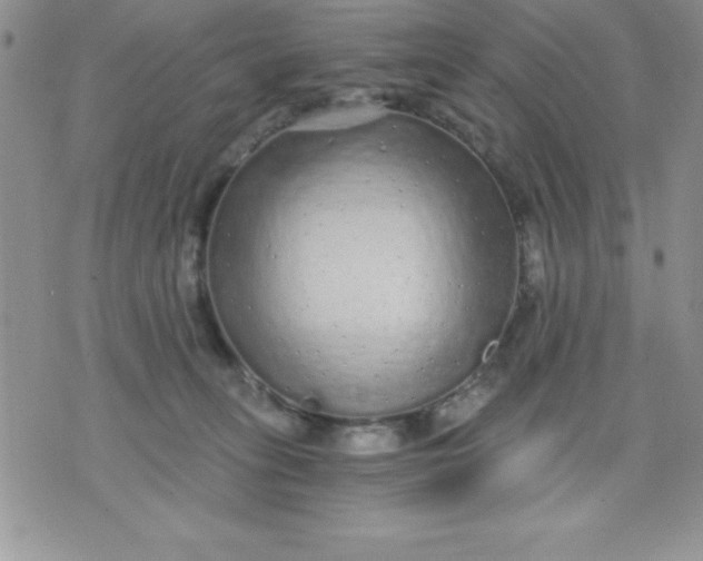 X0000071330275200607141913