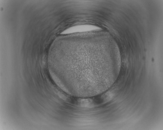 X0000071330277200607141913