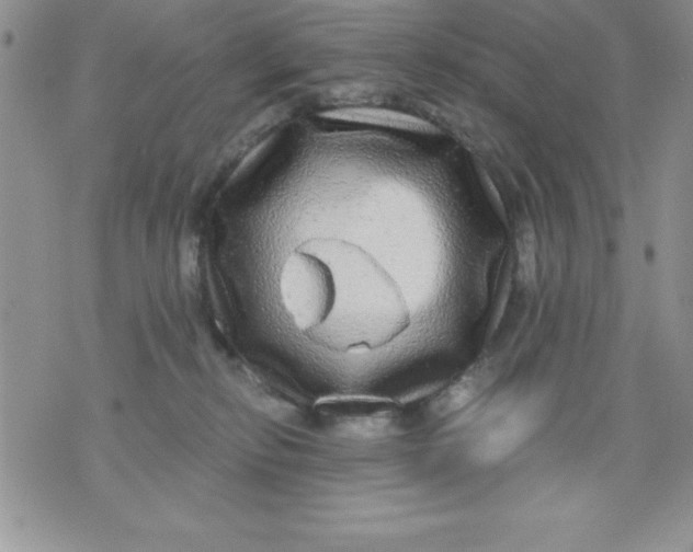 X0000071330278200607141913