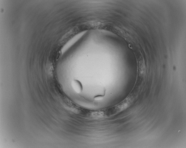 X0000071330279200607141913