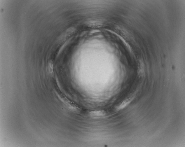 X0000071330281200607141913