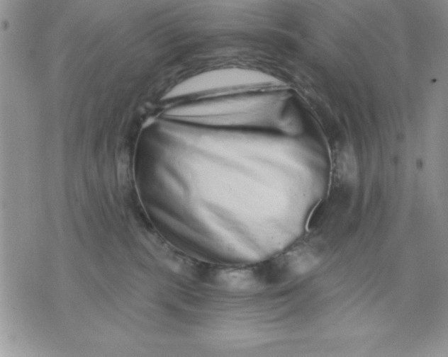 X0000071330283200607141913