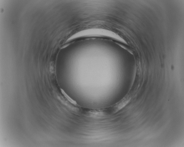 X0000071330284200607141913