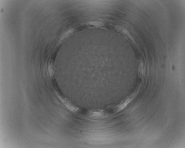 X0000071330285200607141913