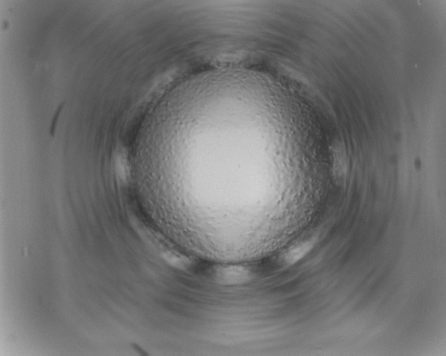 X0000071330287200607141913