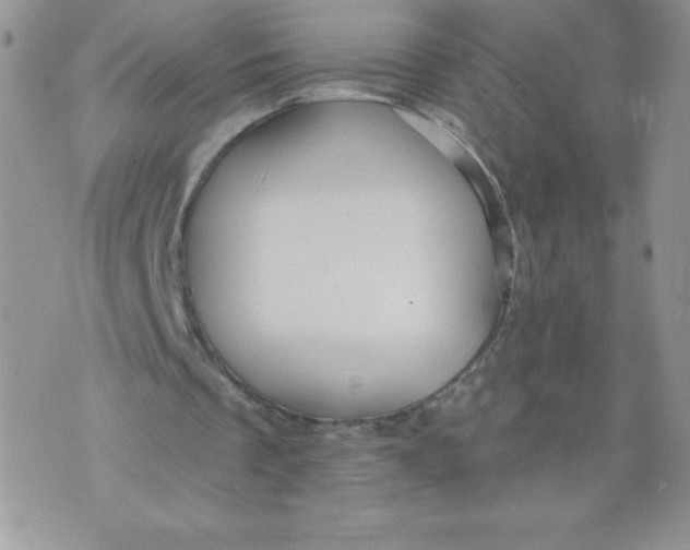 X0000071330289200607141912