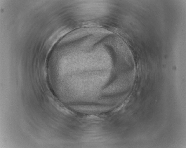 X0000071330290200607141912