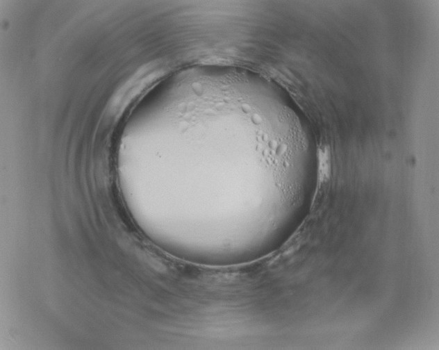 X0000071330291200607141912