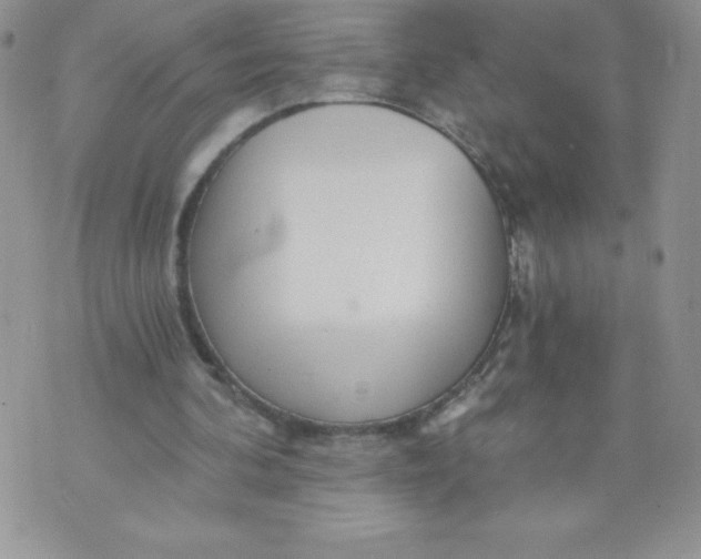 X0000071330292200607141912