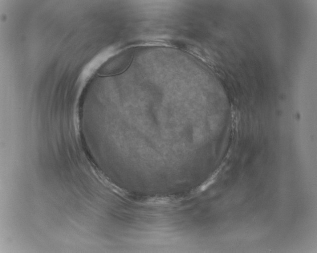 X0000071330294200607141912