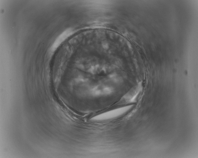 X0000071330295200607141912