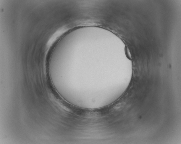 X0000071330296200607141912