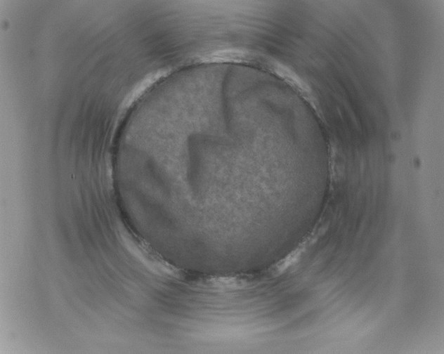 X0000071330298200607141912