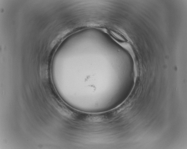 X0000071330299200607141912