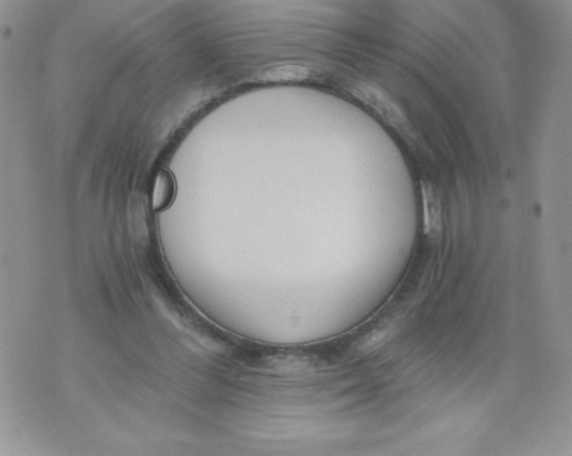 X0000071330300200607141912