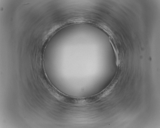 X0000071330301200607141912