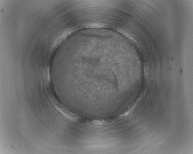 X0000071330302200607141912