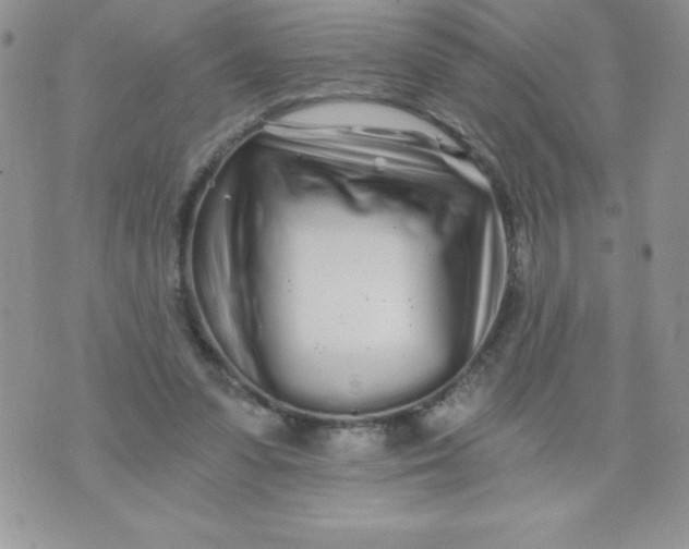 X0000071330303200607141912