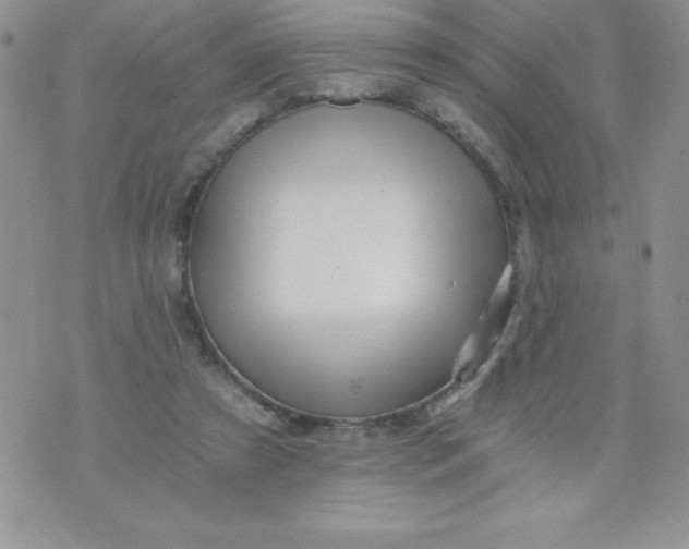 X0000071330305200607141912